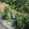 28 rally di bassano_08